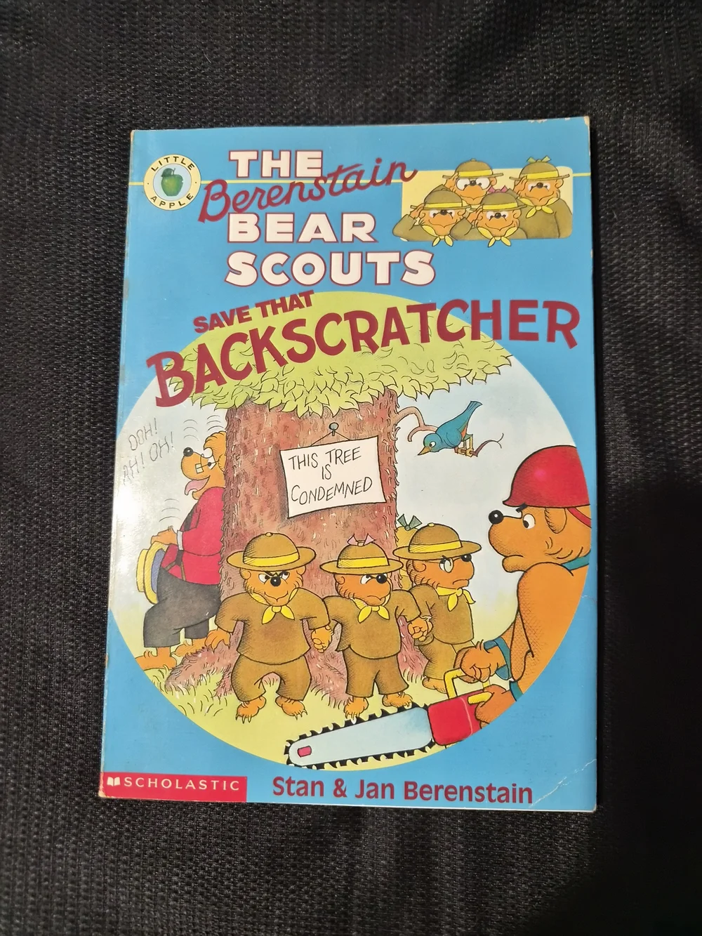 The Berenstain Bear Books